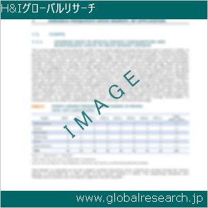 グローバルリサーチ調査レポートのイメージ